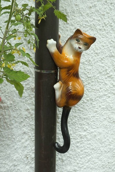 kletternde katze aus ton für das fallrohr