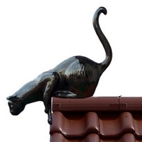 dachschmuck, katze, schwarz
