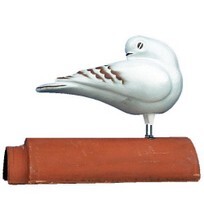 dachschmuck, taube weiss