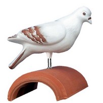 dachschmuck, taube weiss