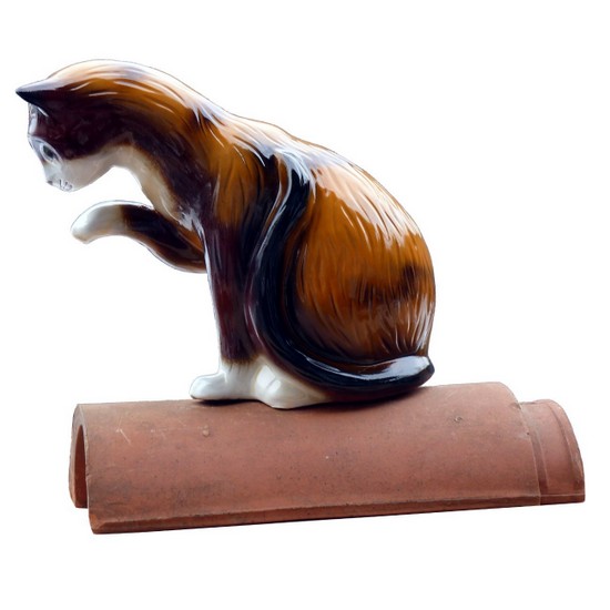 firstkatze sitzend mit hohem vorderen fuss auf dem first. Ateliermodell in  exzellenten farben