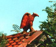 raubvogel als dachschmuck auf einem first